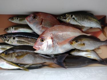  船釣りデビューへの道。はじめての沖釣り入門②乗船してから　編