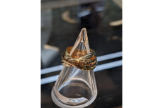 ピックアップ浜松西伊場店ブログ