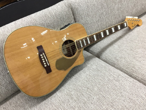 フェンダー