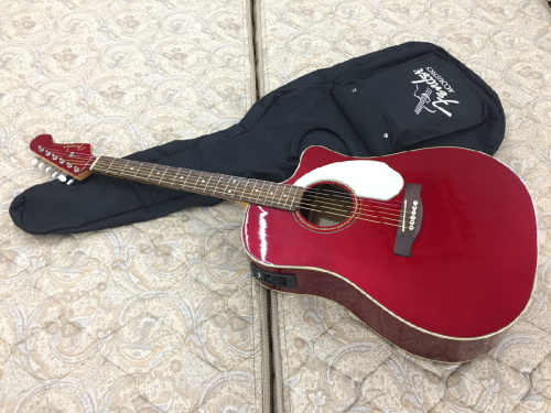 楽器・ホビーのエレアコ