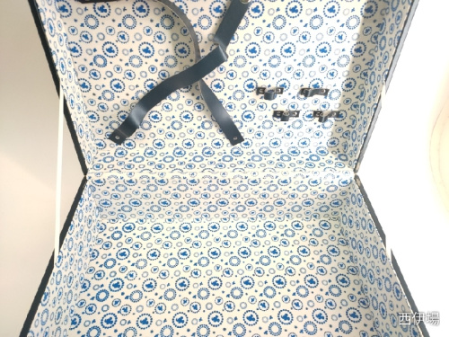 レジャーセットのディズニー