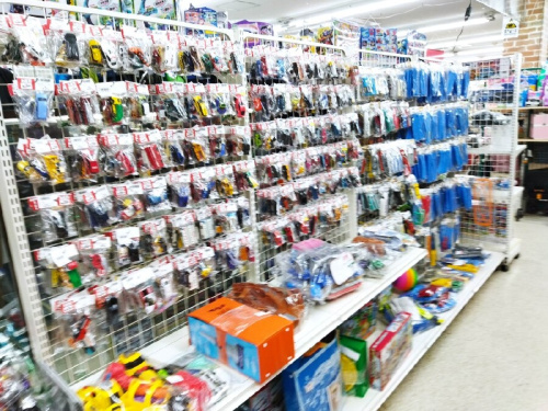 知育玩具の子供