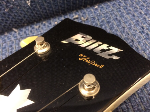 Ariapro IIのSG type