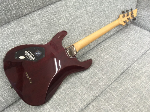 DIAMOND Seriesのシェクター