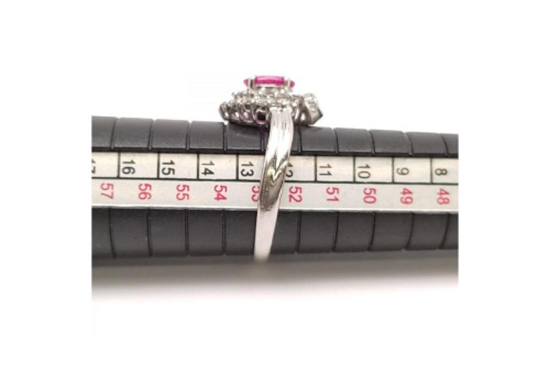 23年09月15日：画像６