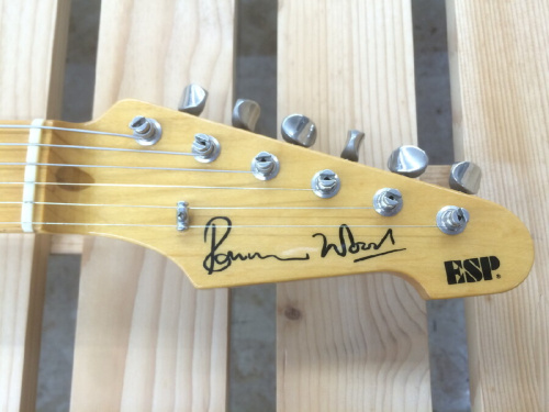 ESPのSignature MODEL