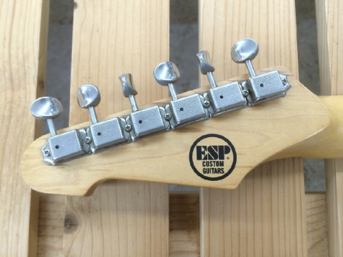 Signature MODELのRon Wood