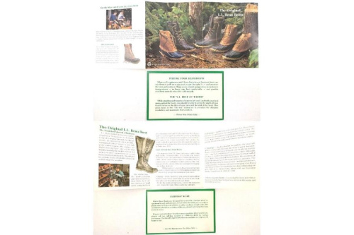 24年06月06日：画像６