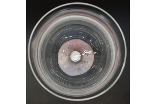 24年06月11日：画像６