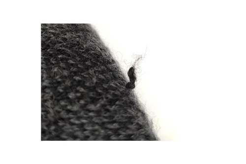 24年06月20日：画像７