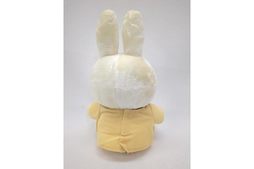 ピックアップブログ画像3