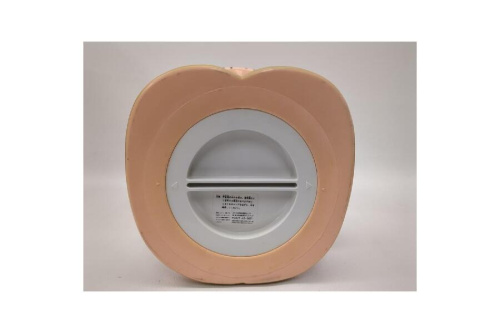 でっかい貯金箱