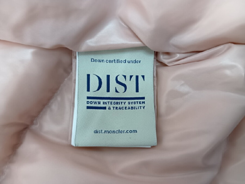 ピックアップブログ画像５