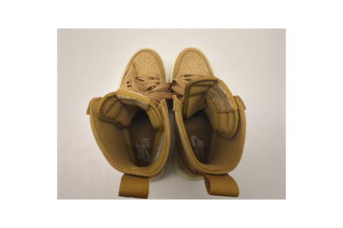 25年05月13日：画像６