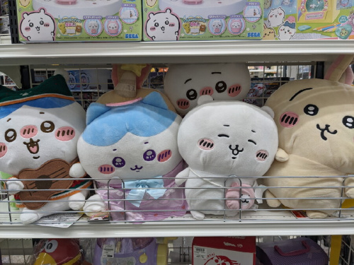 ピックアップブログ画像５