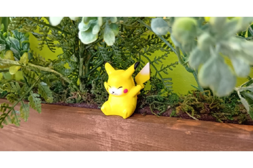 ポケットモンスター