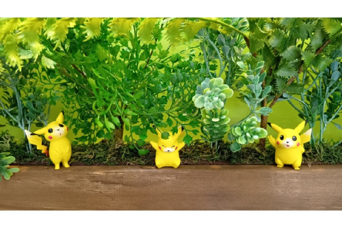 ピックアップブログ画像5