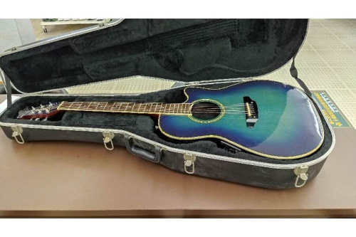 楽器・ホビーのエレアコ