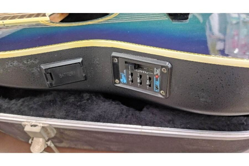 エレアコの中古弦楽器