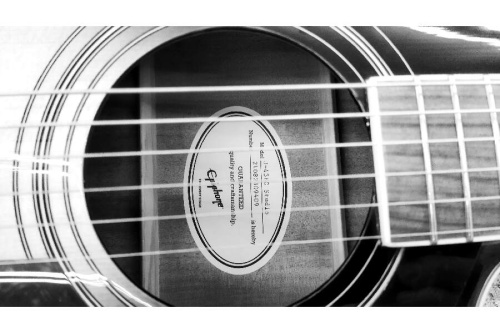 楽器・ホビーのエレアコ