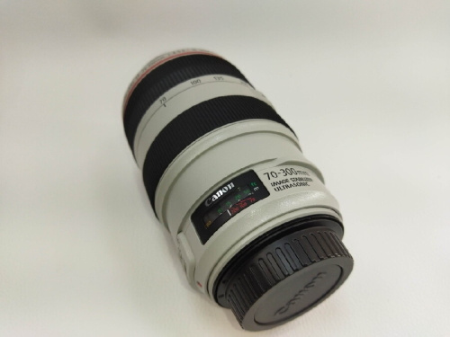 ズームレンズのEF70-300mm