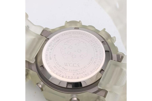 FROGMAN
