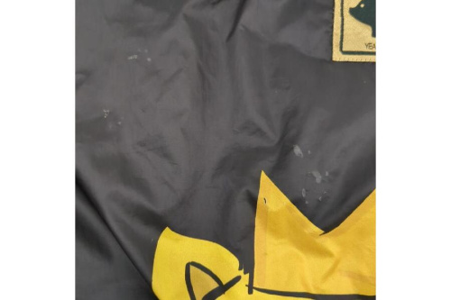 25年01月23日：画像１０