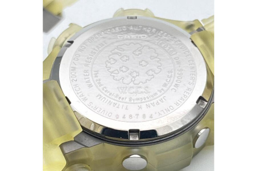 ピックアップブログ画像５