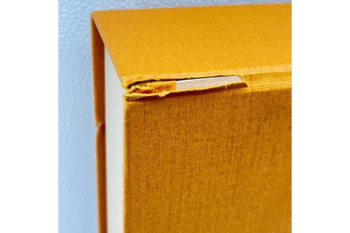 25年11月03日：画像８