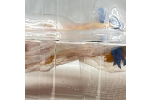 ピックアップブログ画像４