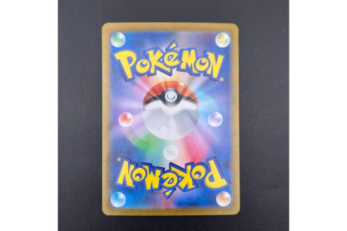 ポケットモンスター