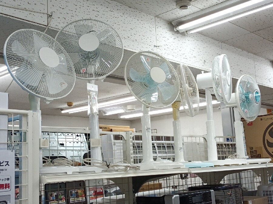 夏物家電買取強化中！！さっそくアイリスオーヤマの扇風機をお売り頂きました。｜2023年03月26日｜静岡県のリサイクルショップ ピックアップ磐田店