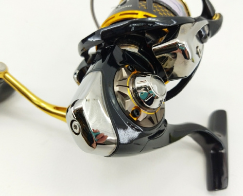 ダイワのモアザン