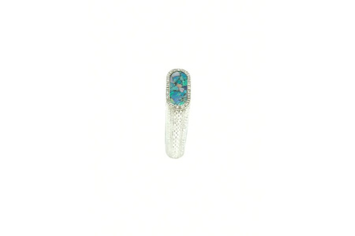 ﾗｲﾀｰのCartier