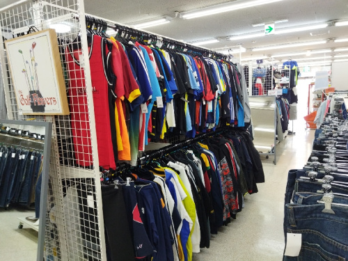 ピックアップブログ画像2