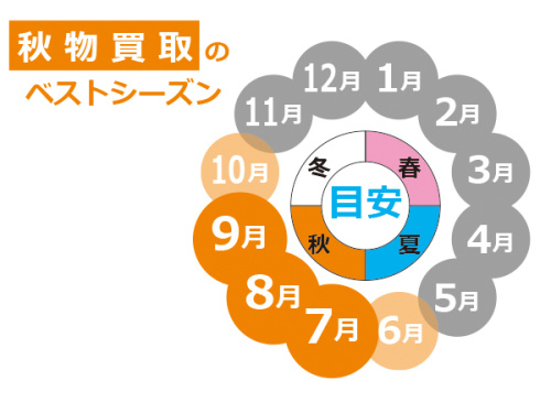 ピックアップブログ画像5
