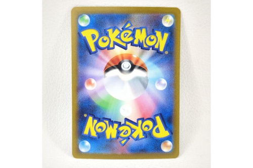 ポケットモンスター