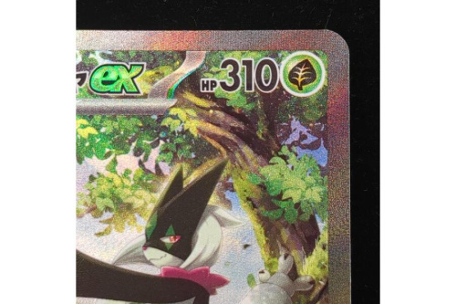 ポケモンカードのポケカ