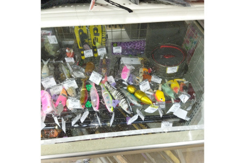 24年02月02日：画像６