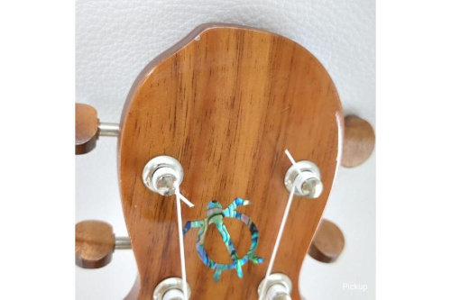 24年06月06日：画像７