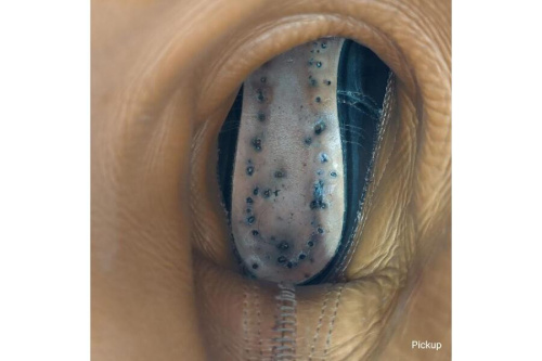 24年06月08日：画像６