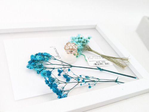 25年03月03日:画像7