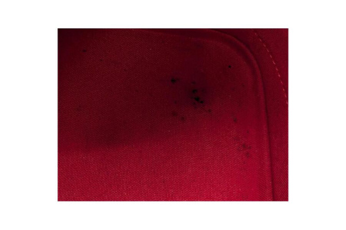 25年04月02日：画像１０