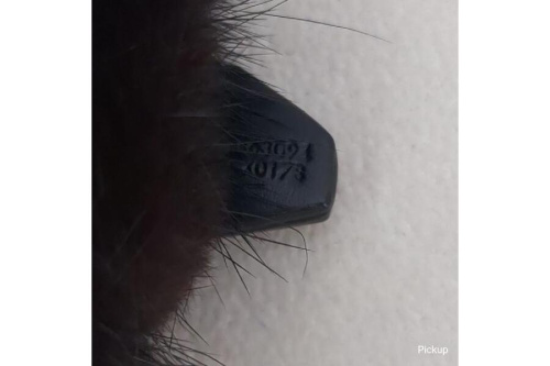 ワイルドパンダ