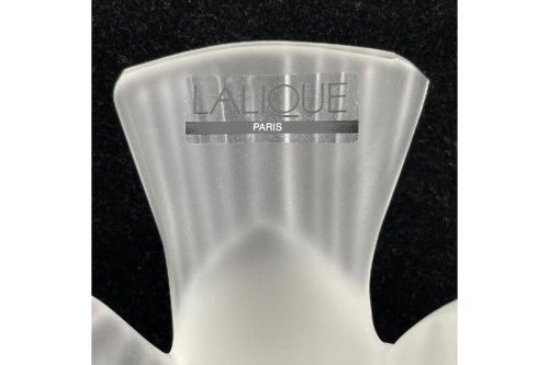 26年02月04日：画像６