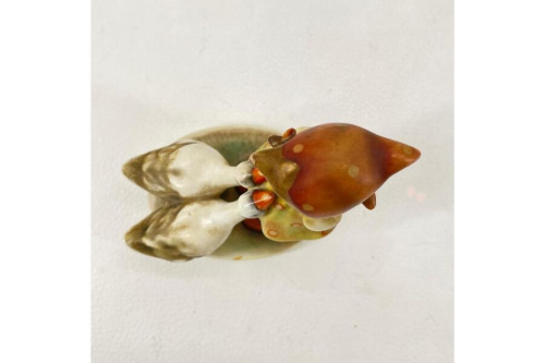 26年02月04日：画像６