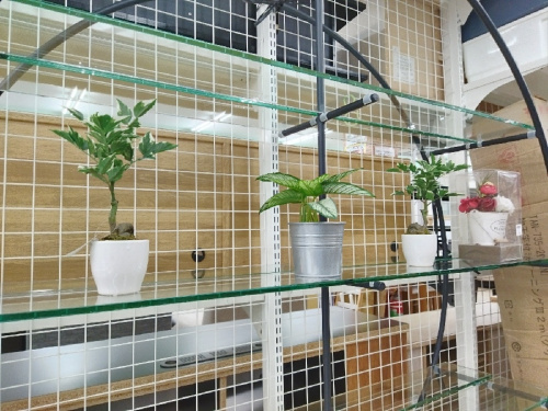 22年04月02日：画像７