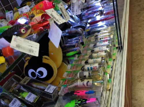 22年05月26日：画像８