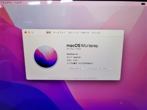 ピックアップブログ画像5