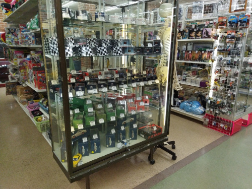 22年10月17日：画像８